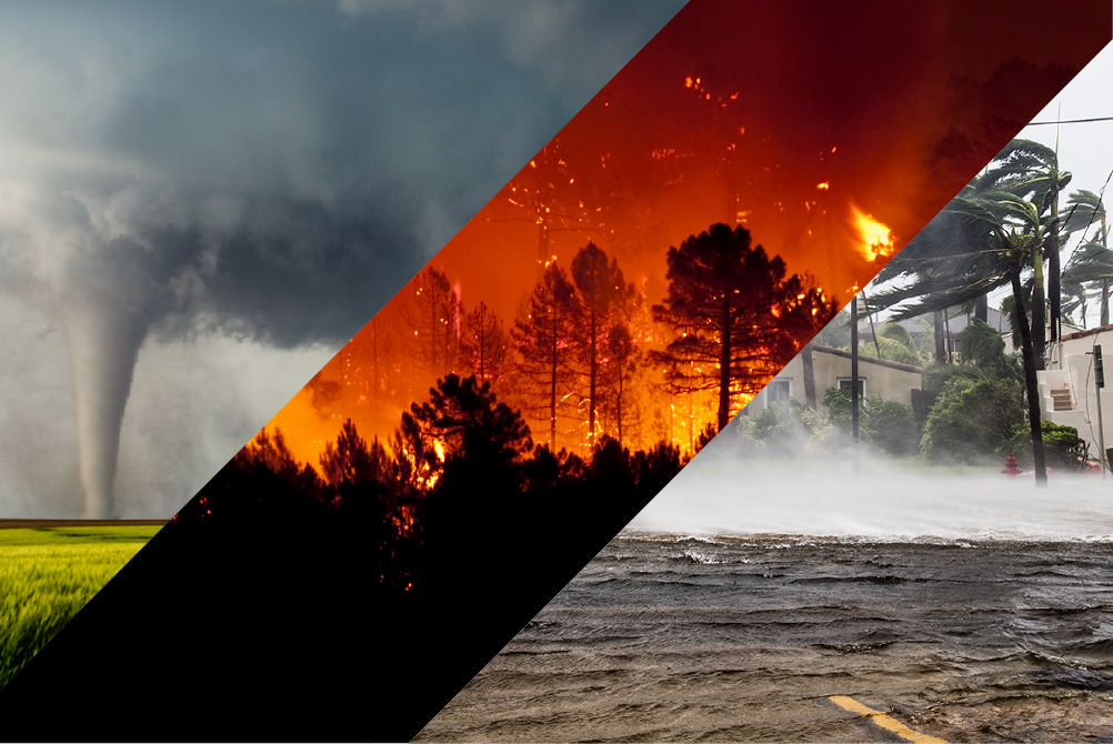 New ASTM E3429-24 Guidelines; Courtney Wladyka, Co-director of ESG, Contributes to Diverse Development Team